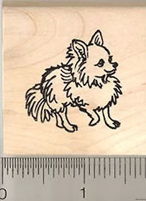 CUTE Long Haired Chihuahua Rubber Stamp WM D8110 Dog • $14