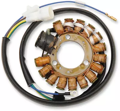 Ricks Alternator Stator Generator Yamaha TTR225 99-04 • $205.95