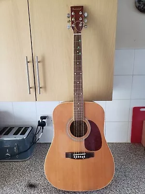 Burswood JW-41F Full Size Acoustic Guitar. No Reserve! • £5