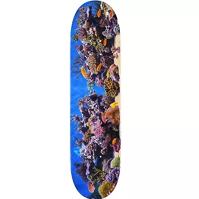 Mini Logo Fish Tank  18  Skateboard Deck 291 - 7.75  • $39.95