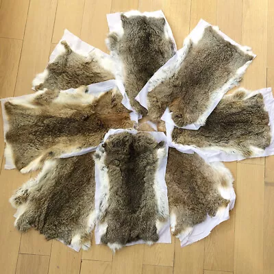 5X Real Rabbit Skin Pelts Natural Animal Fur Hides Soft Tanned Leather Craft DIY • $29.44