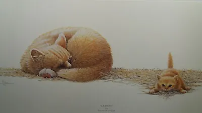 £19.95 • Buy Catnap By Warwick Higgs Cat Kittens