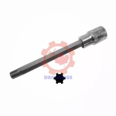 ❤1/2  Dr T52 M10 S2 Cylinder Head Bolt Tool Polydrive Socket T10070 For VW Audi • $17.80