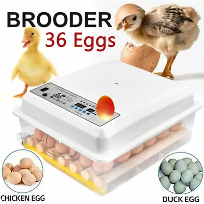 36 Egg Incubator Automatic Digital LED Hatcher Turning Chicken Egg Poultry Quail • $59.99