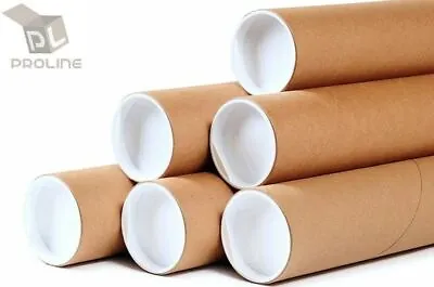 Premium Kraft Mailing Shipping Poster Tubes With Plastic End Caps 2  X 24  • $79.95