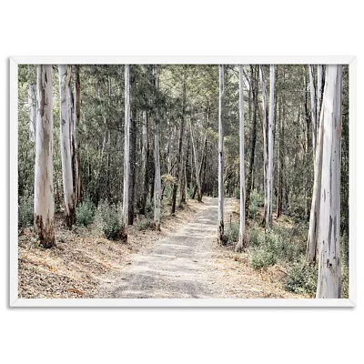 Into The Gumtrees Wall Art. Australian Gumtrees Forest Trail Poster | LND-11 • $22.95