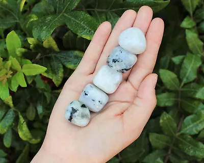 5 Rainbow Moonstone Tumbled Stones (Crystal Healing) (0.75  - 1 ) • $7.95