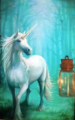 $19.95 • Buy Unicorn Tears Potion