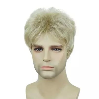 Mens Natural Short Straight Wigs Real Male Full Hair Wig Party Cosplay Toupee • $14.99