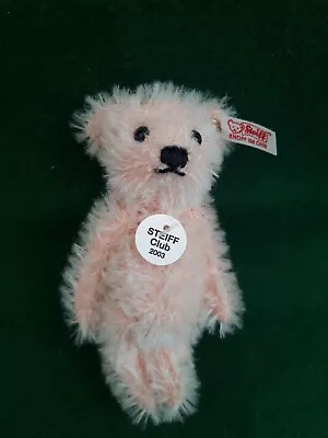 £24 • Buy Steiff 2003 Club Gift Miniature Rose Mohair Bear Big Box Ean 420375 - MIB