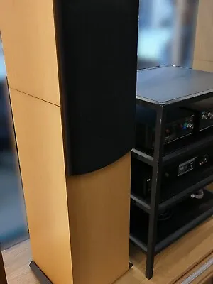 Naim Allae Floorstanding Speakers - New Scanspeak Tweeters & Foam • £700