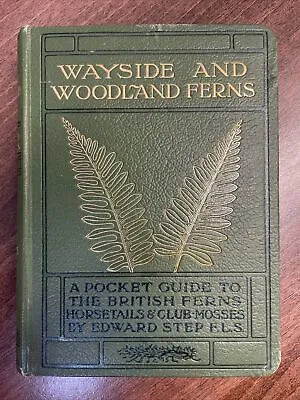 £45 • Buy Wayside And Woodland Ferns - A Pocket Guide By Edward Step (1922 Vintage Book)