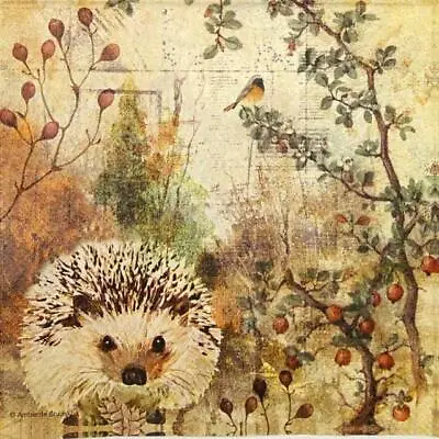 4x Single Cocktail Paper Napkins For Decoupage And Party - Autumn Hedgehog • £1.19