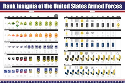 US Military Ranks Poster United States Enlisted And Officer Insignia Poster Art • $29.98