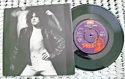 T Rex.celebrate Summer.7 .pc.glam Rock.1977.marc Bolan.indiepop • £9.99