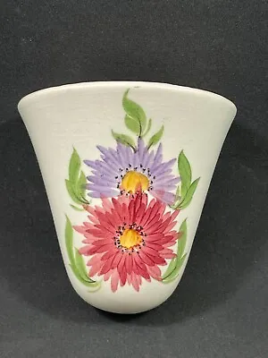 Edward Radford Pottery England Hand Painted Wall Vase • £10