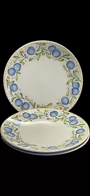 Mikasa Country Cheer Dinner  Plates 11” Japan DW 103 Set Of 3 • $38.95