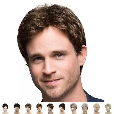 Mens Natural Short Straight Wigs Real Male Full Hair Wig Party Cosplay Toupee • $16.78