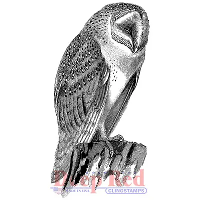 Deep Red Stamps Barn Owl Rubber Cling Stamp • $5.99