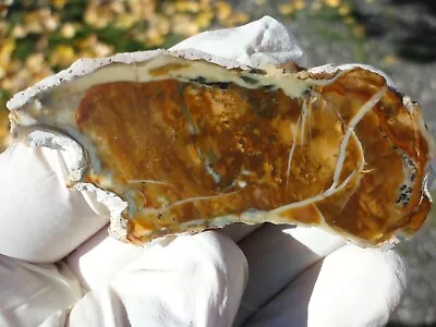 Morrisonite Jasper Polished Slab Browns Gold White Streamers • $23.99