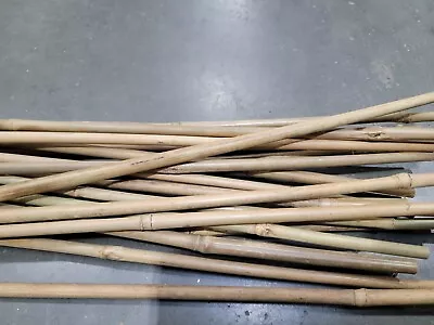 $21.99 • Buy 20pc Bamboo Stakes Plant Wooden Support Sticks - Garden Trellis - 3 Ft X 8/10mm