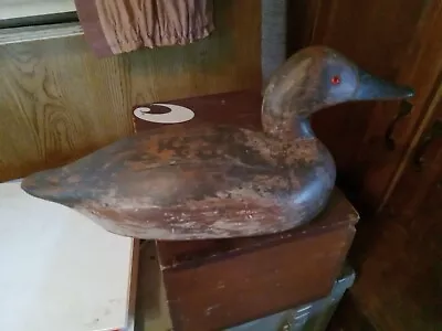 Signed Canvasback Hen Duck Decoy • $65