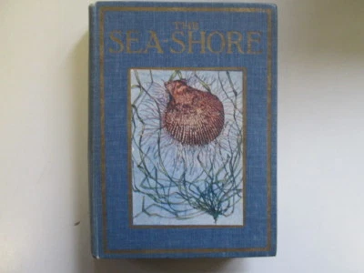 £20.52 • Buy THE SEA-SHORE SHOWN TO THE CHILDREN - Wood, Theodore 9999-01-01 Foxing/tanning T