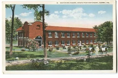 Postcard Hatching House State Fish Hatchery Corry PA  • $20.06