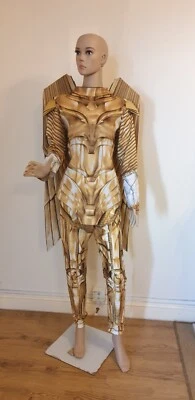 £30 • Buy Wonder Woman WW84 Gold Hero Ladies Fancy Dress Costume