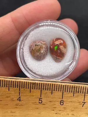 Pair Of Polished Mexican Opal Cabochons In Gem Jar- Vintage Estate Find • $5