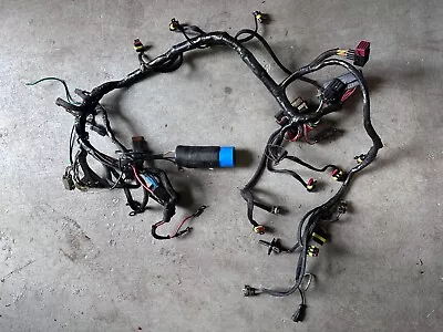 Evinrude E-Tec 135-200 Hp Wiring Harness Assembly 0587010 • $50