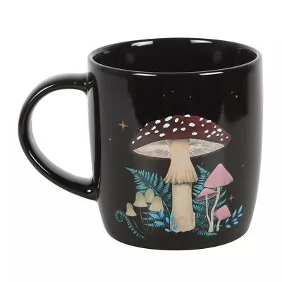 Toadstool  Mushroom Dark Enchanted Forest Range Magical Nature  • £6