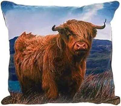 Highland Cow Cushion & Inner Lesser & Pavey Quality Cow Lover Gift 45cm Square • £9.95