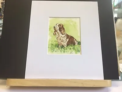 Original Mounted Miniature Watercolour Of Cocker Spaniel • £7.50