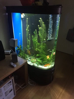 $700 • Buy Fish Tank