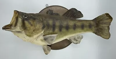 Vintage Taxidermy Largemouth Bass Fish Mounted Real Skin On Plaque 19-20” DAMAGE • $139.99