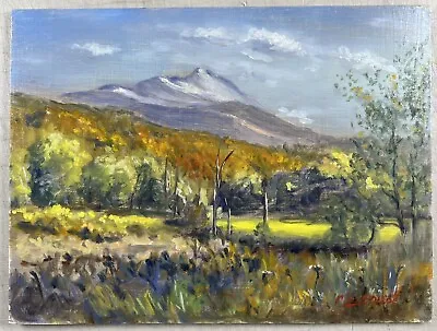 Impressionist Oil Painting Of Fall Mount Morris Vermont Landscape Signed 9x12” • $113.52