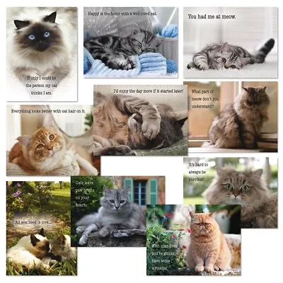 Kitty Cat Picture Note Cards Set Of 20 + Envelopes Assorted Notecards 5 Designs • $15