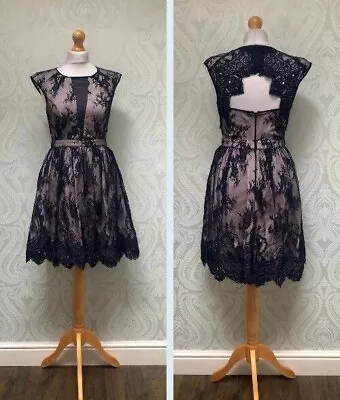 Warehouse Spotlight Navy Lace Cream Lined Cut Out Back Zip Skater Dress Size 10 • £9.50