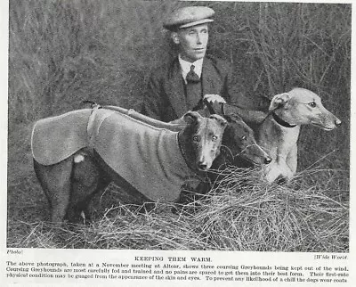 Greyhound  Coursing  - 1934 Vintage Dog Art  Photo  Print - CUSTOM MATTED • $15