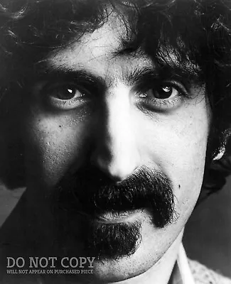 Frank Zappa Photograph 8 X 10 - Rare 1973 DiscReet Records Portrait - Poster Art • $14.99