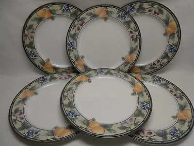 Mikasa Intaglio Garden Harvest CAC29 (6) 11 1/8  Dinner Plates EUC • $39.95