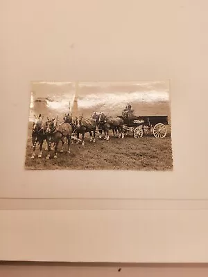 O Keefes Beer Brewery Horse Team Wagon Postcard Advert Canada Scalloped Photo • $25.86