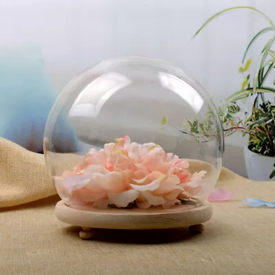£10.95 • Buy Small/Large Round Glass Ornament Display Dome Cloche Bell Jar With Wooden Base