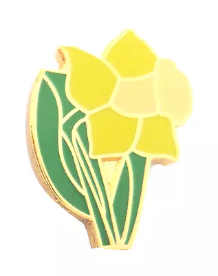 Wales St. David's Day Pin Badge • £6.25