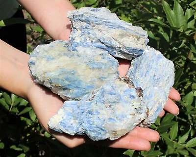 Large Natural Blue Kyanite With Quartz Mica Rough Crystal Specimen (12 - 15 Oz) • $23.95