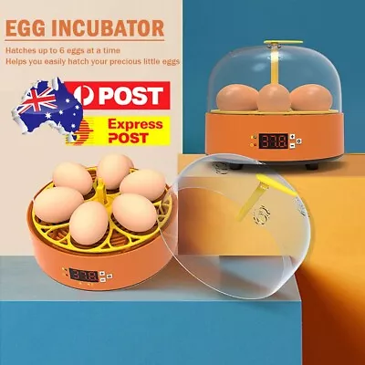 Egg Incubator 15W Hatchery Machine Adjustable Temperature Control (EU) • $37.79