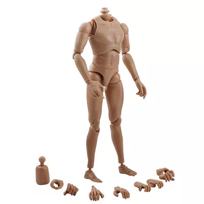 1/6 Strong Muscular Male Narrow Shoulder Figure Body For Hot Toys Heads 12  • £17.43