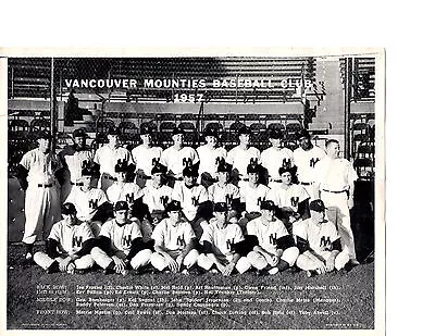 1957 Vancouver Mounties Vintage Baseball 8x10 Team Photo   • $5.95