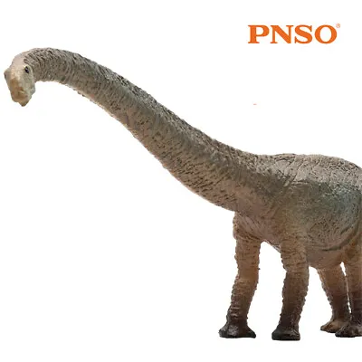 PNSO Mamenchisaurus Jurassic Dinosaur Figure Collector Animal Decor Kid Toy Gift • $11.99